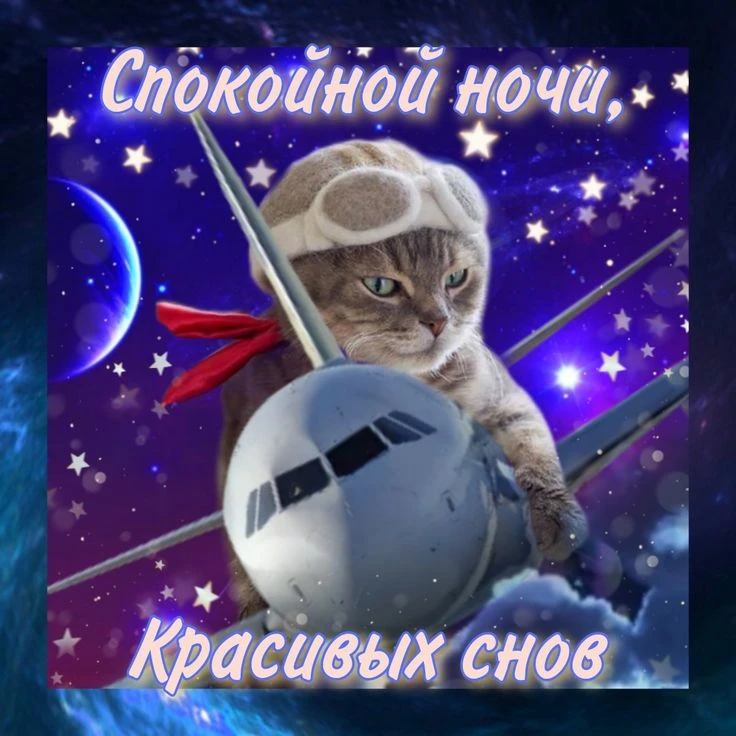 Добрых снов, товарищи котеки!❤