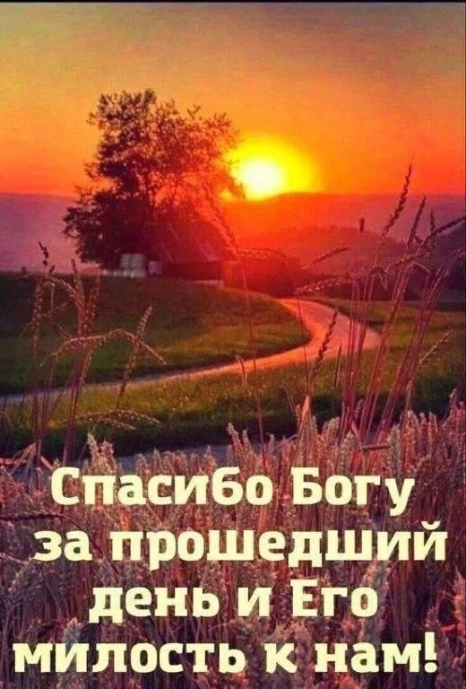 Благодари Бога за скорби — и скорби минуют,