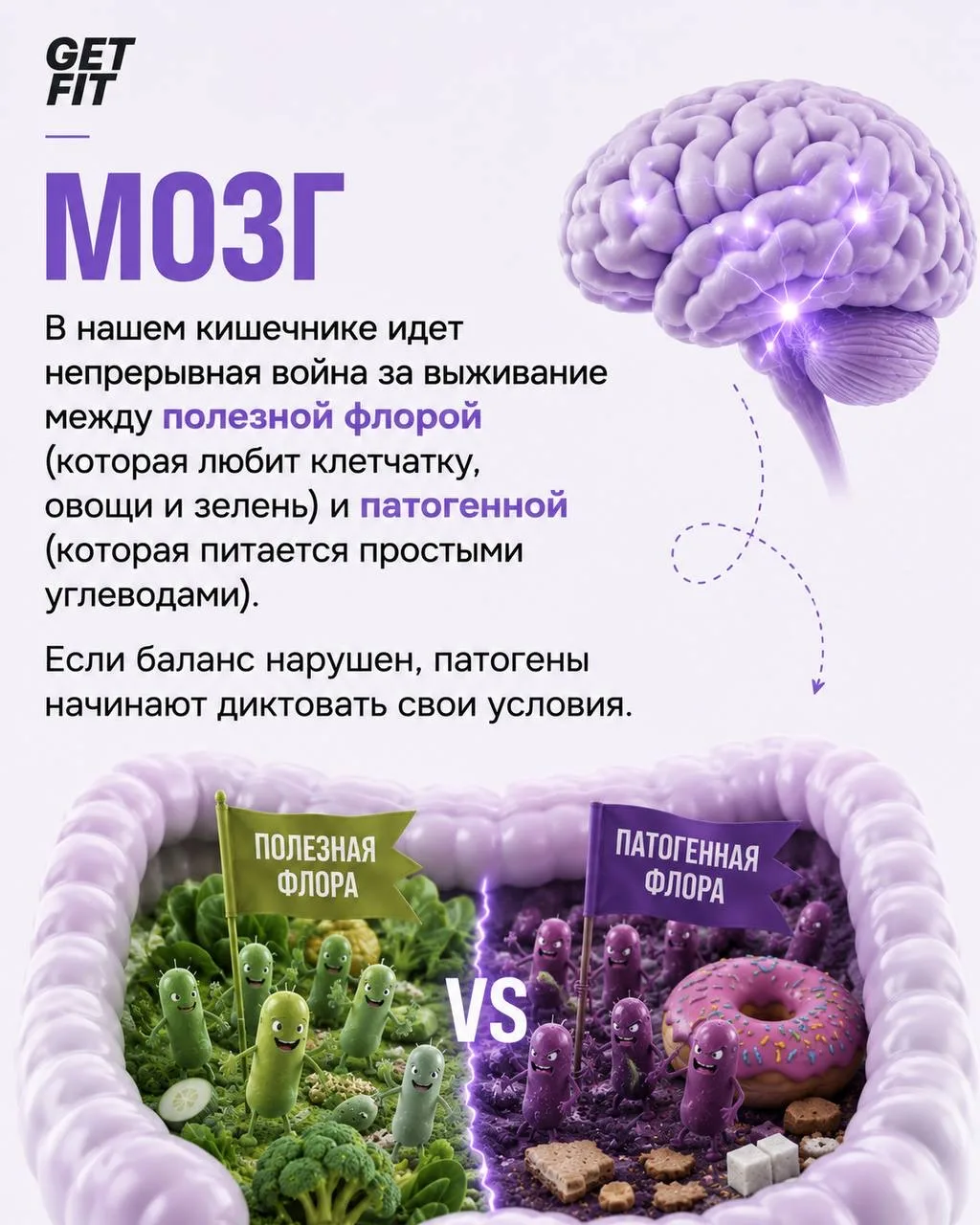 🦠МИКРОБНЫЙ ШАНТАЖ: кто решает, что вам съесть?  Как именно микробиом манипулирует вашим аппетитом, п