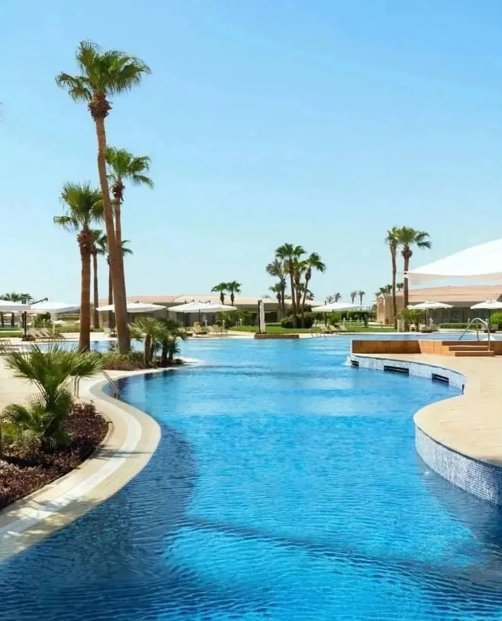 🌟🌟🌟Pickalbatros Luxury Suites 5⭐️🌟🌟