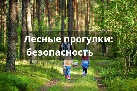 ✨БЕЗОПАСНАЯ СРЕДА

💡Насекомые: кто опаснее всех, и почему нельзя хлопать по шершню 
 
🐝Летом кусаю