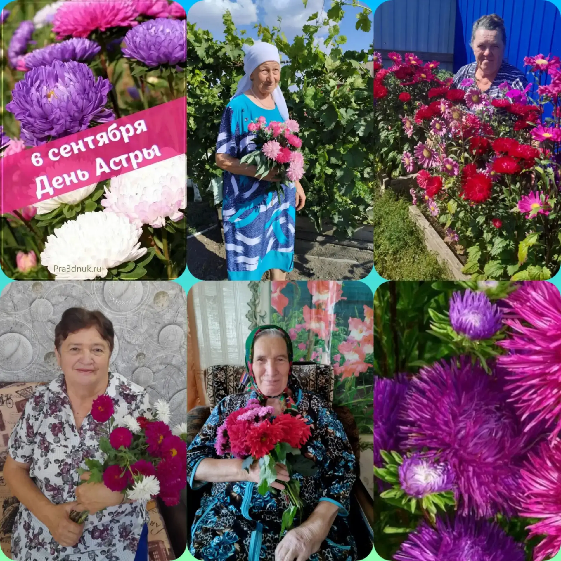 День астры отмечают 6 сентября. Это красивый осеннй праздник , посвящённый одному из са...