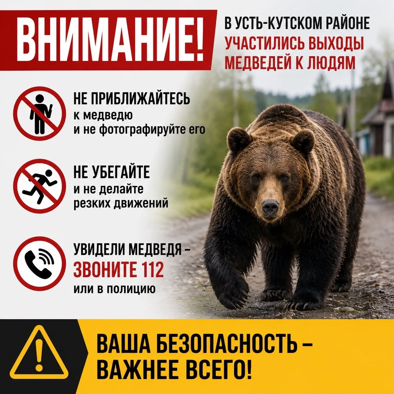 ⚠️  Внимание! В Усть-Кутском районе участились случаи выхода медведей к людям