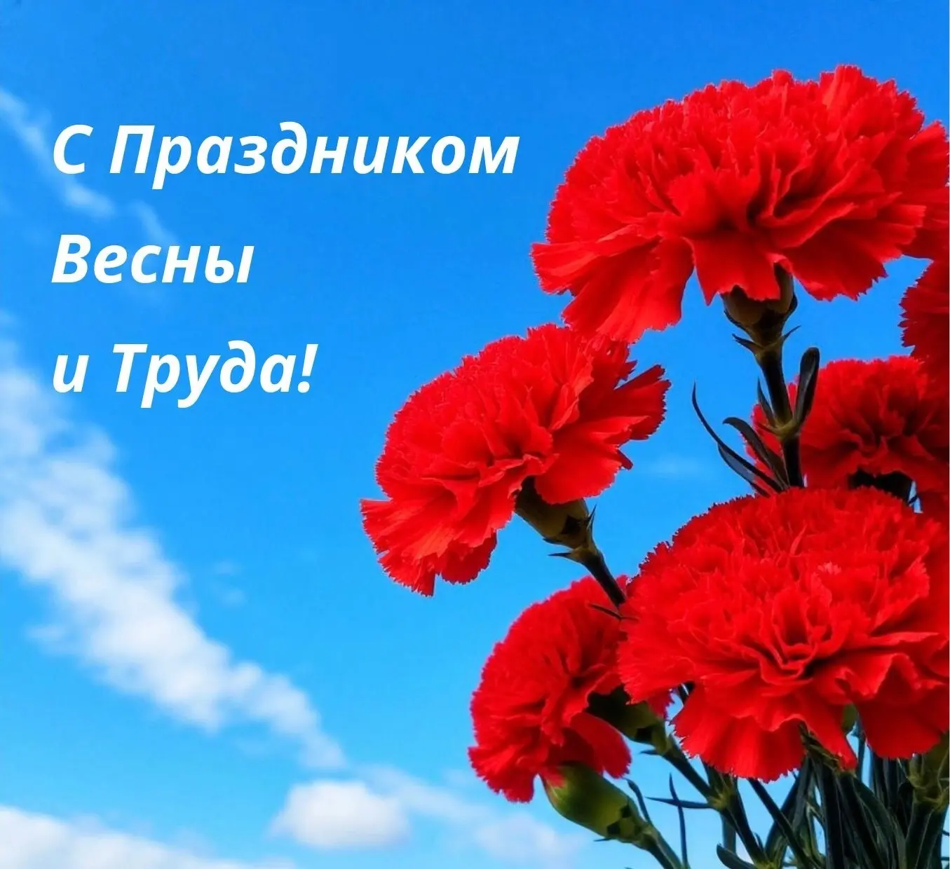 Уважаемые коллеги, друзья!