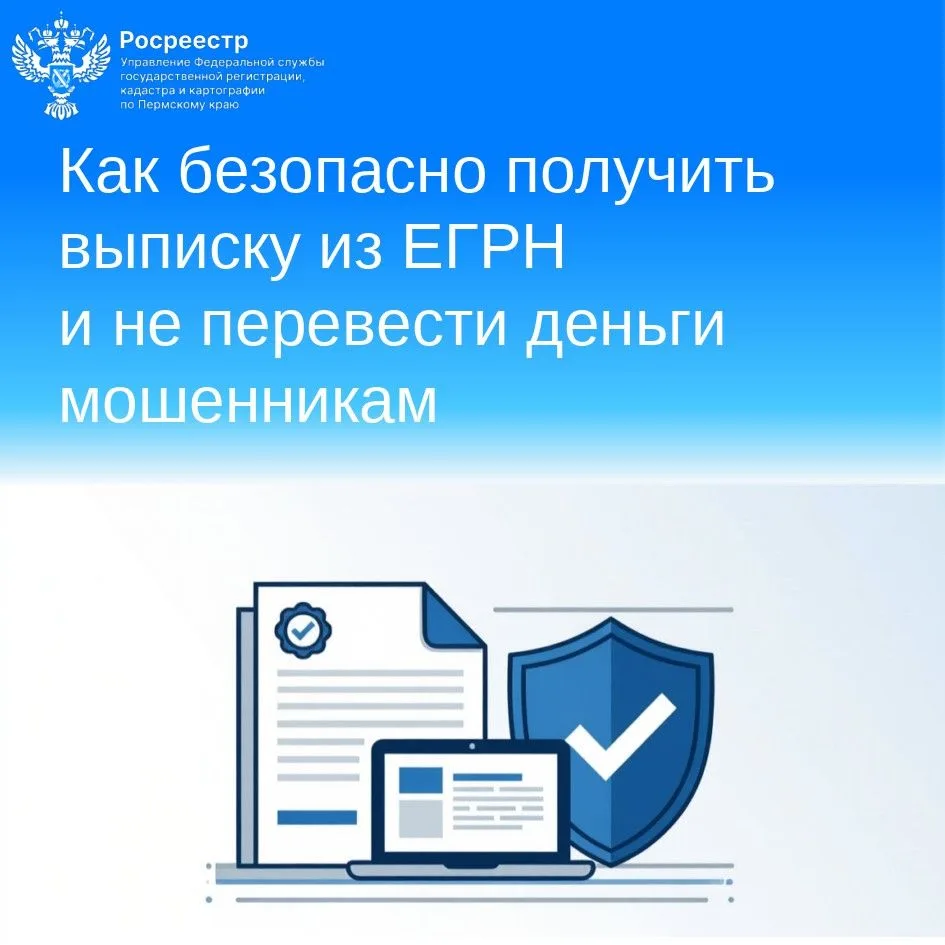 ✅Как безопасно получить выписку из ЕГРН и не перевести деньги мошенникам