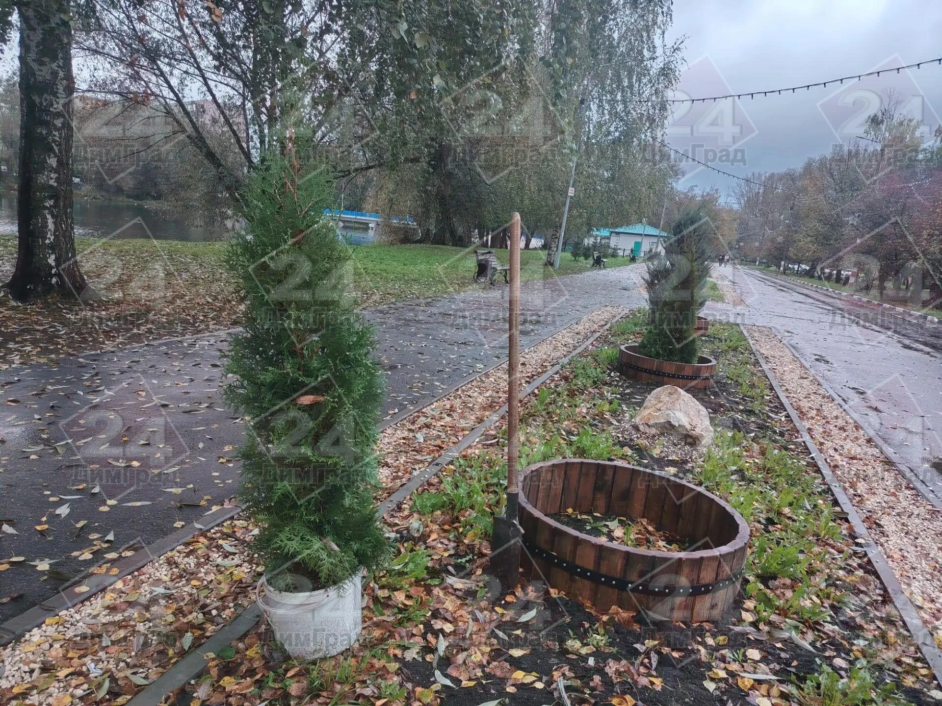 На набережной Верхнего пруда продолжается добрая традиция посадки кипарисовников на алл...