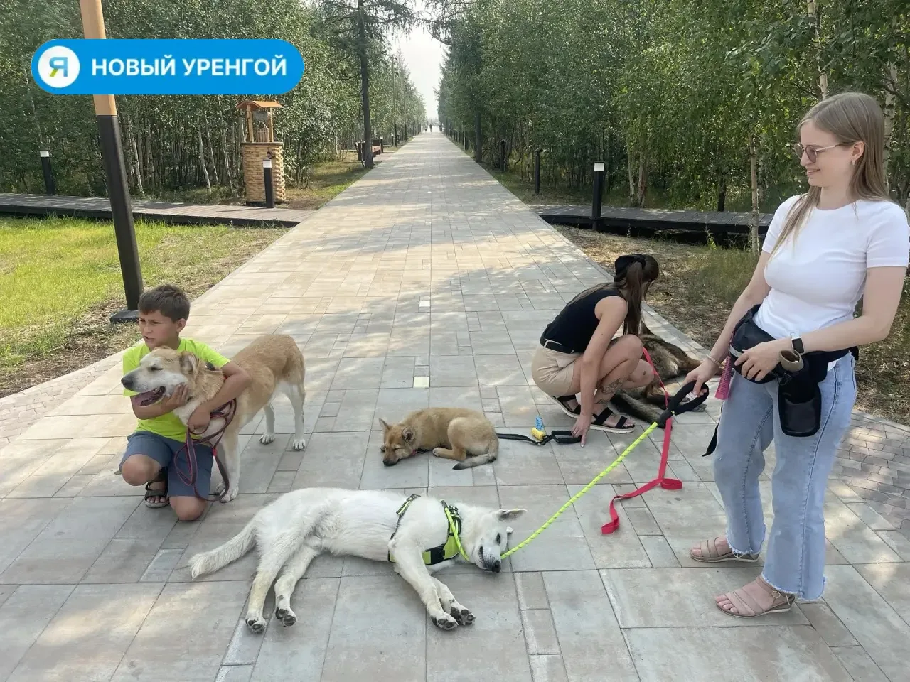 «Приют на выезде» в Новом Уренгое: знакомство с хвостиками в парке «Дружба»

Волонтёры приюта «Поляр