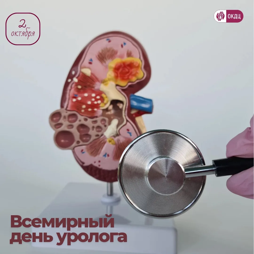 🩺Всемирный день уролога