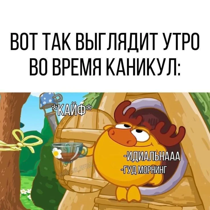 Утро, которое мы заслужили 😂