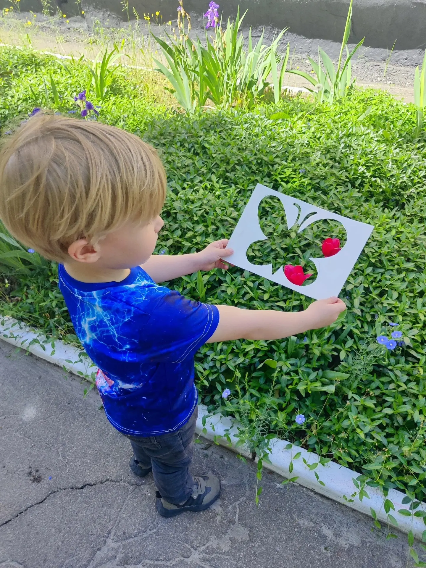 🌸«Удивителен мир природы»

Он знакомит 👫детей с морем звуков и запахов, сотнями разных тайн и зага