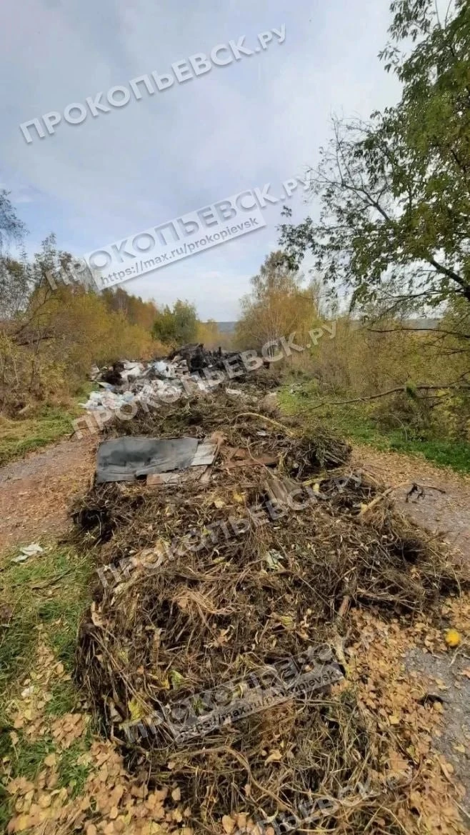 Вход на кладбище Тайбинка в Верх-Егосе завалили мусором, включая растительные остатки.