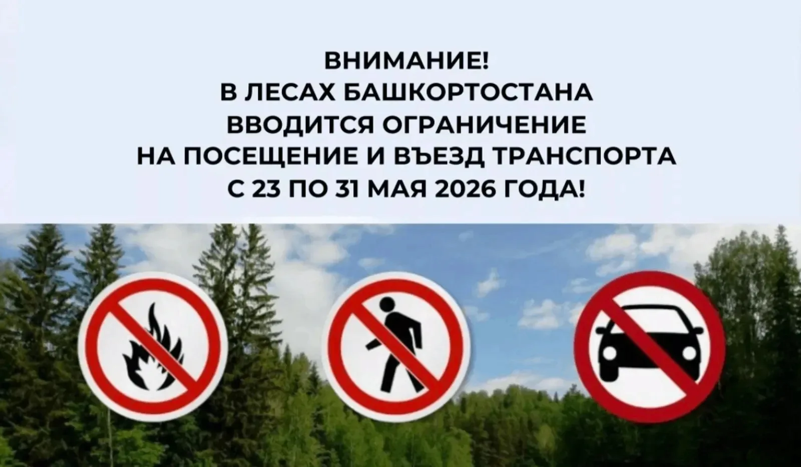 В Башкирии ограничат посещение лесов до конца мая  Запрет на въезд транспорта введут из...