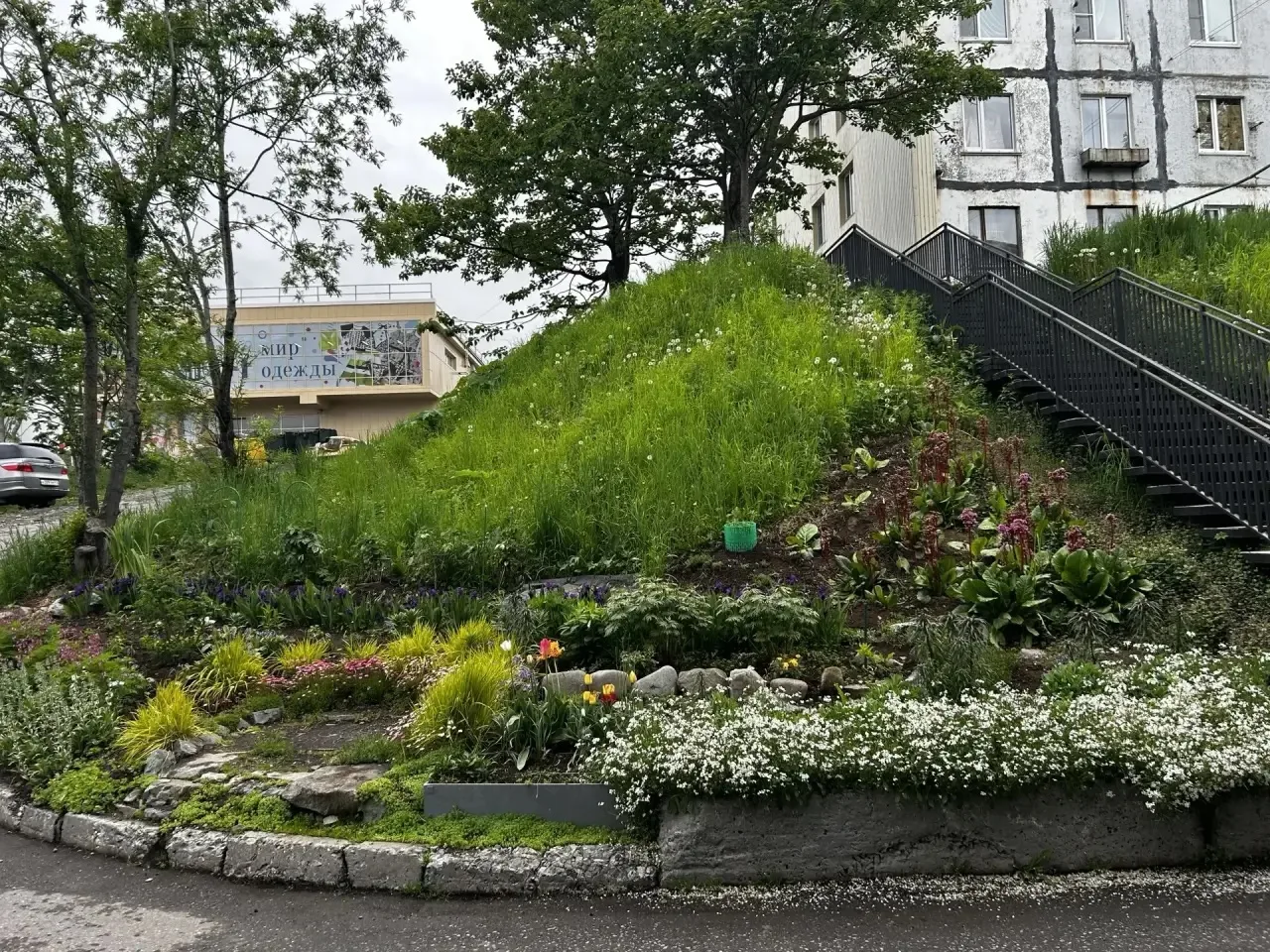 🌷 Огромное спасибо за красоту!