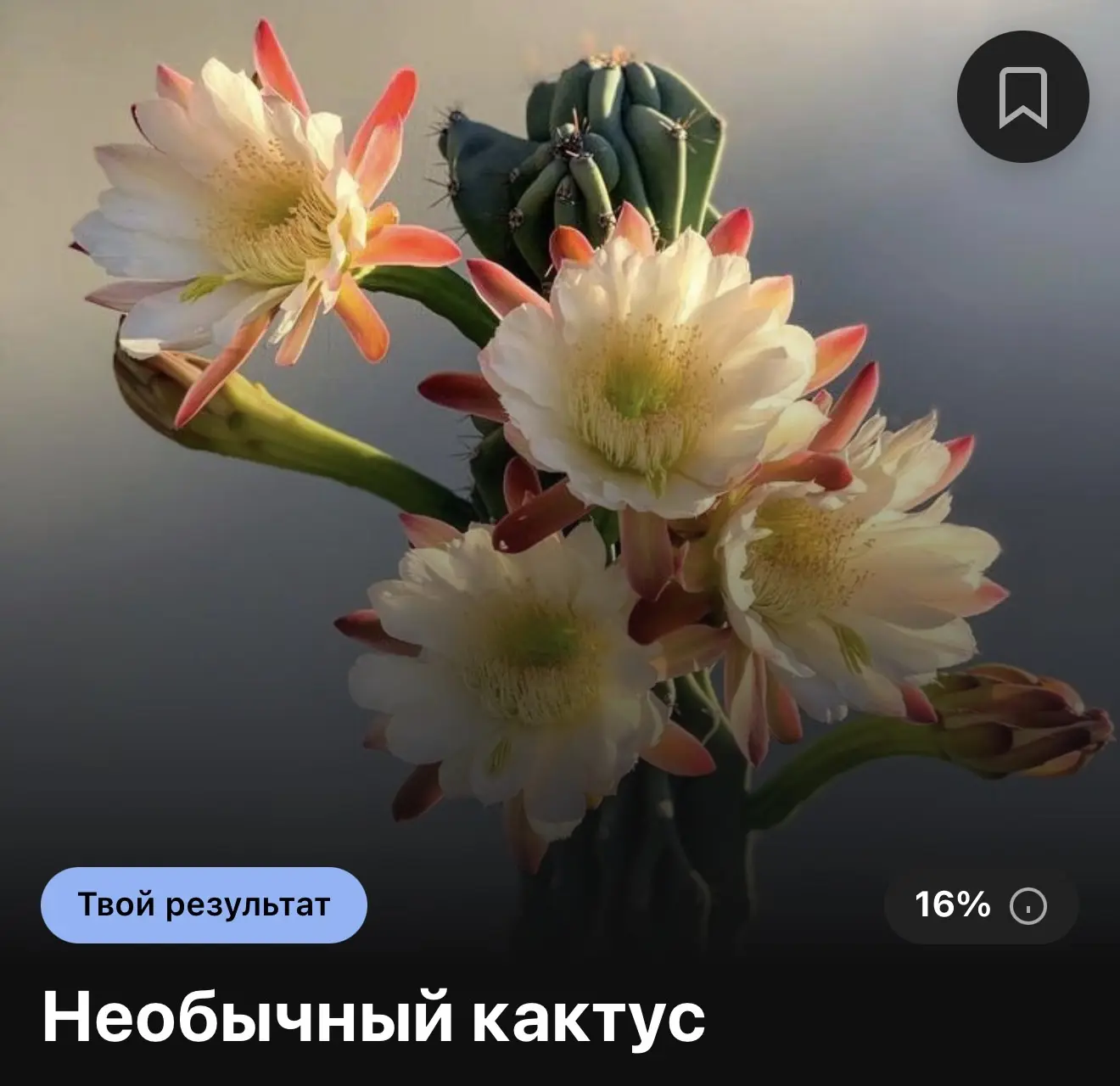 🌵 Какой вы кактус?

🔗 Пройти тест