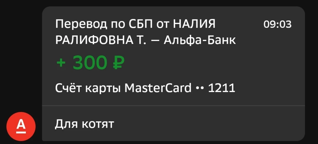 Спасибо вам огромное за вашу поддержку! 🙏❤