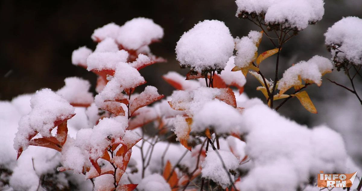 🥶 В Поволжье грядут холодные выходные