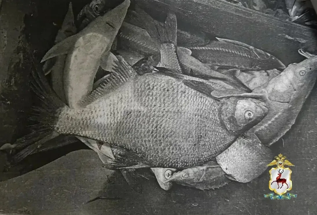 🎣 В Павловском округе завели дело на 61-летнего рыбака-браконьера