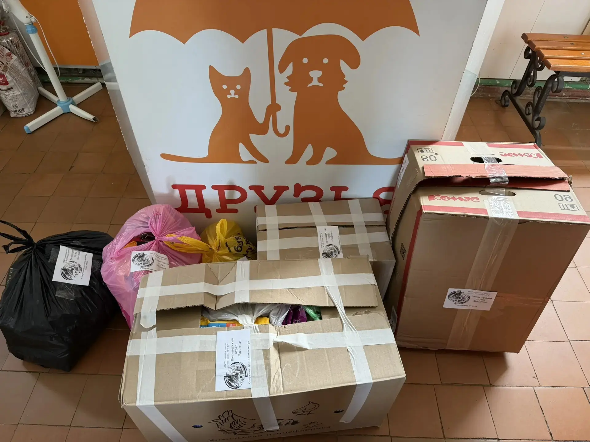 🐾Благотворительная акция "Накорми друга"

Друзья, у нас отличная новость! Мы рады сообщить, что тол
