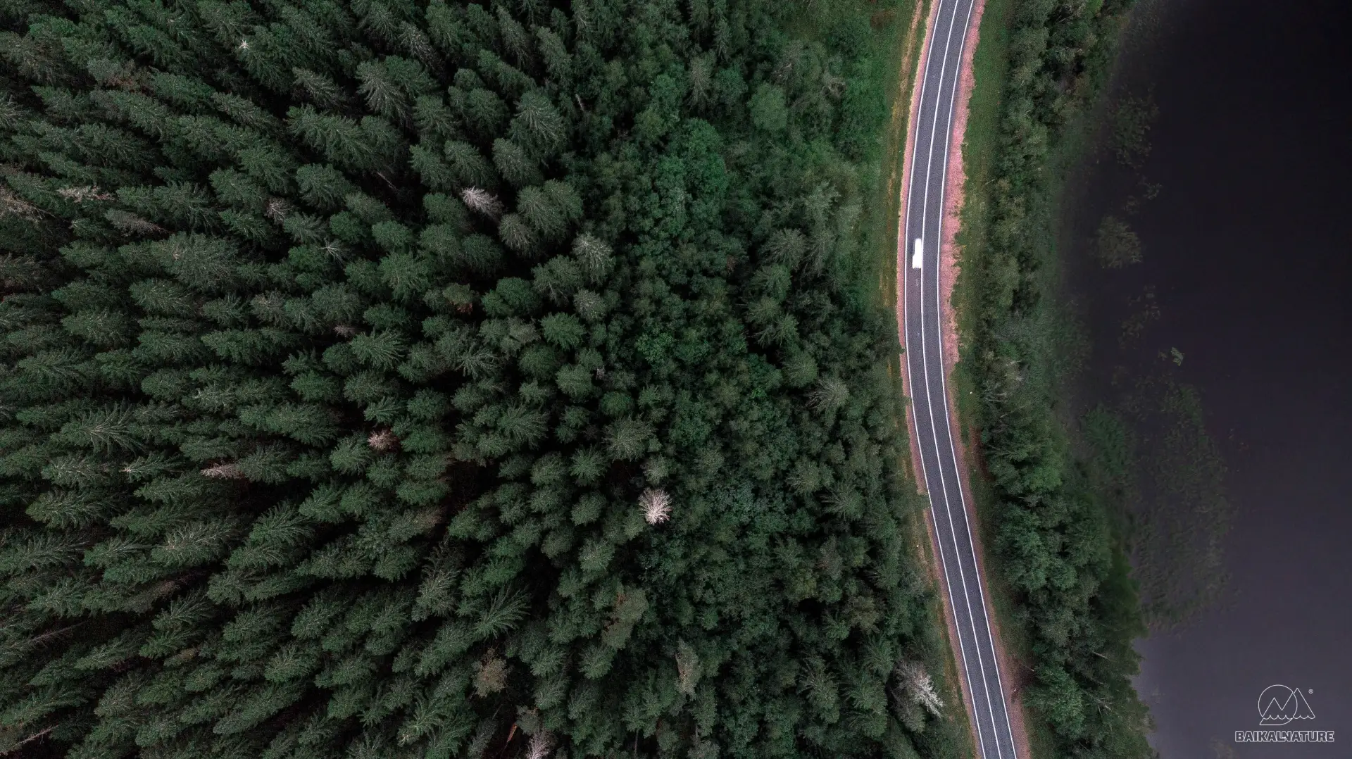 Просторы Карелии 🌲
Регион по праву называют легкими Европы: почти 40% территории региона занимают о