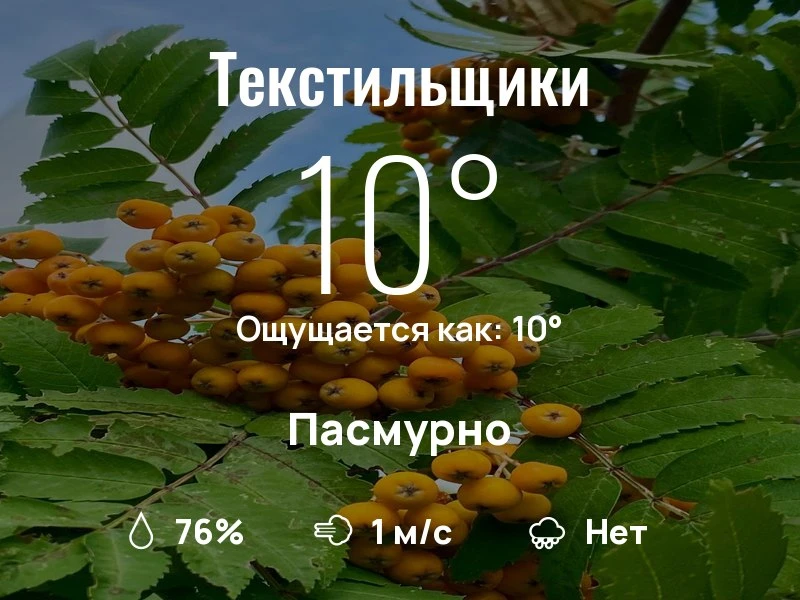 Что с погодой в Текстильщиках?