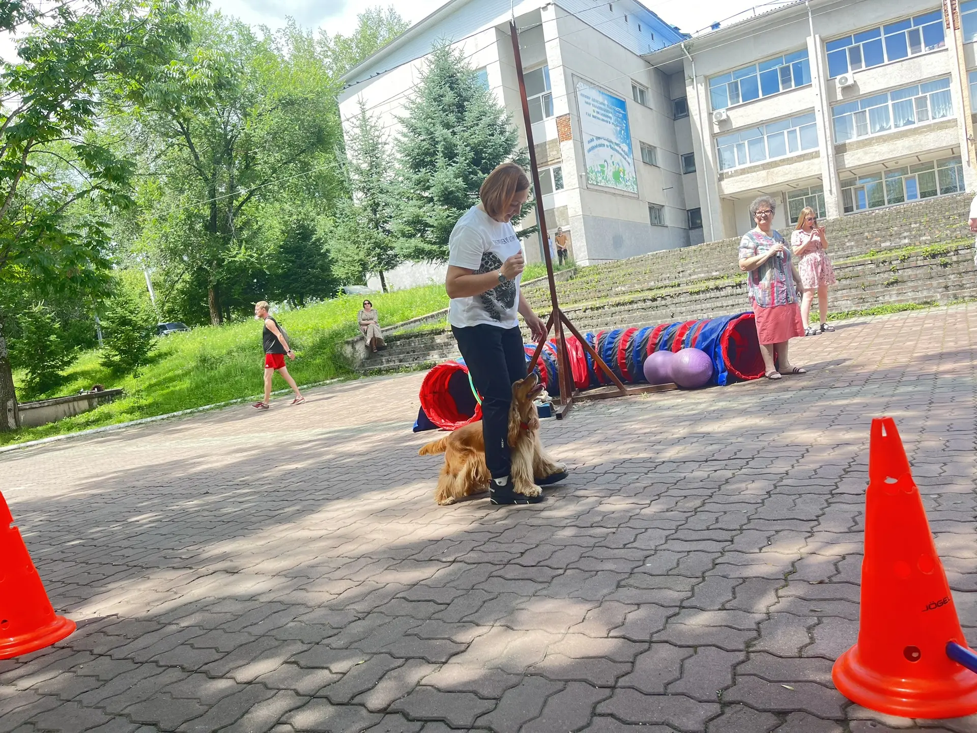 Сегодня в Центре детского творчества   насыщенный день!🎒

Наши ребята были очень активны: одни отпр