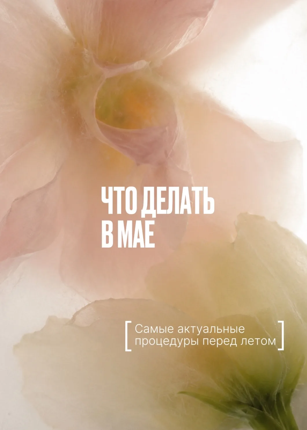 Собрали для вас самые актуальные майские бьюти процедуры 🤍