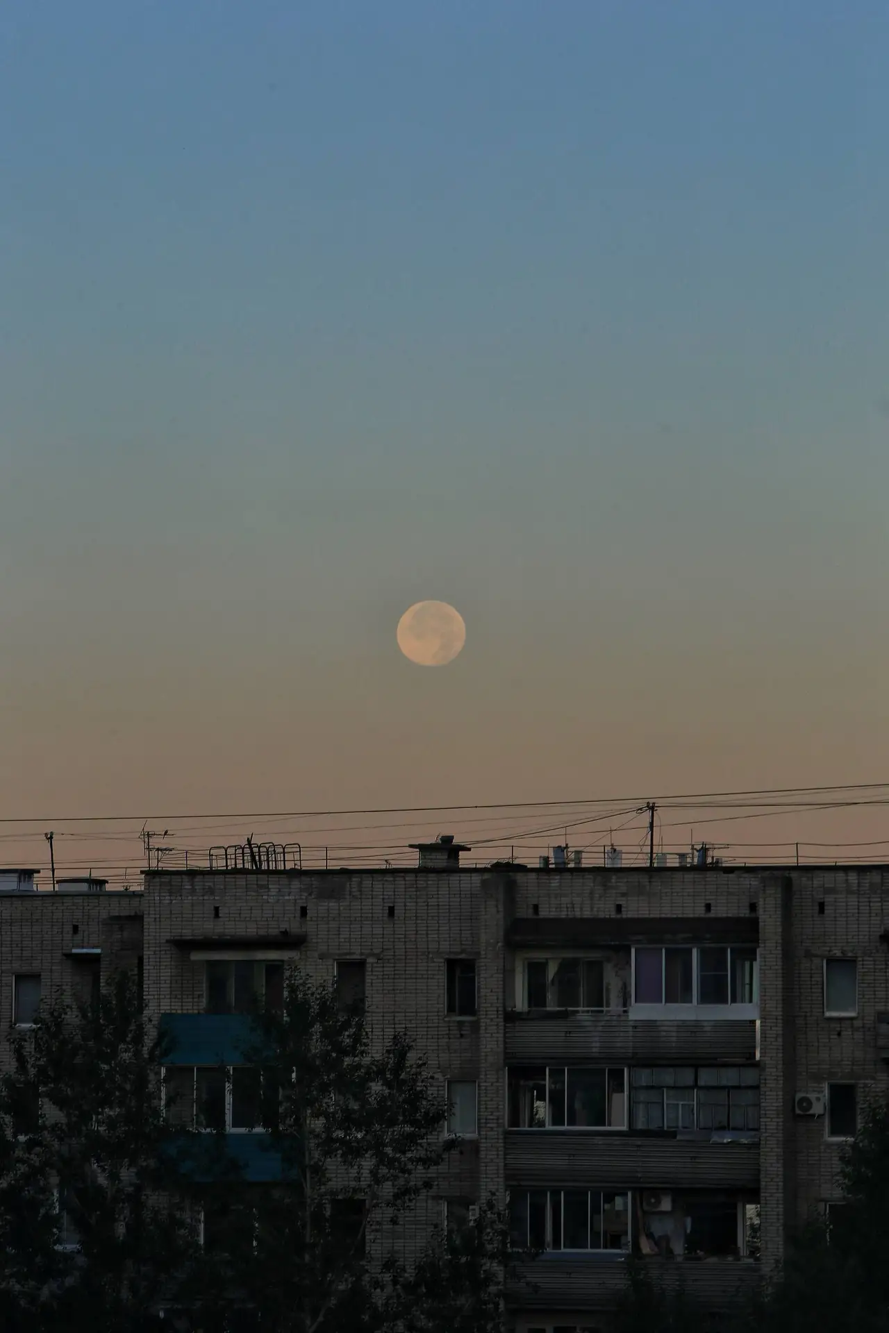 Утреннее полнолуние ✨