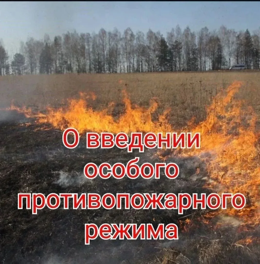 Уважаемые жители поселения!