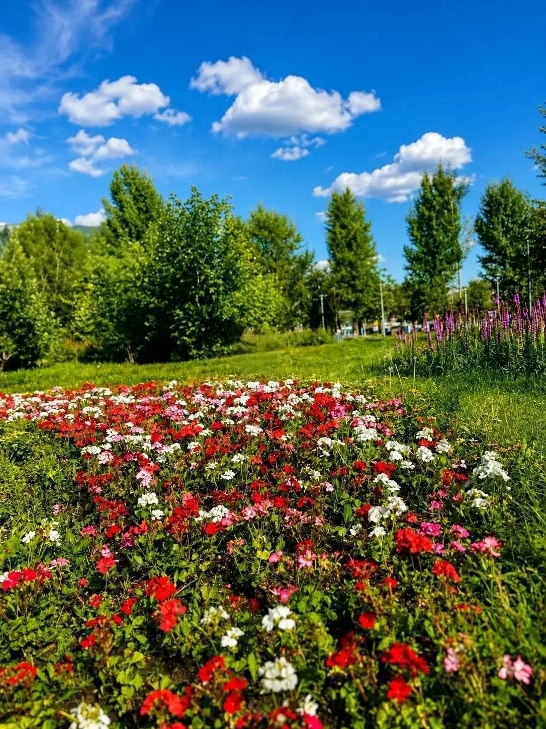 Доброе утро, любимое поселение! ☀️Пусть этот день начнется с аромата свежего кофе или ч...