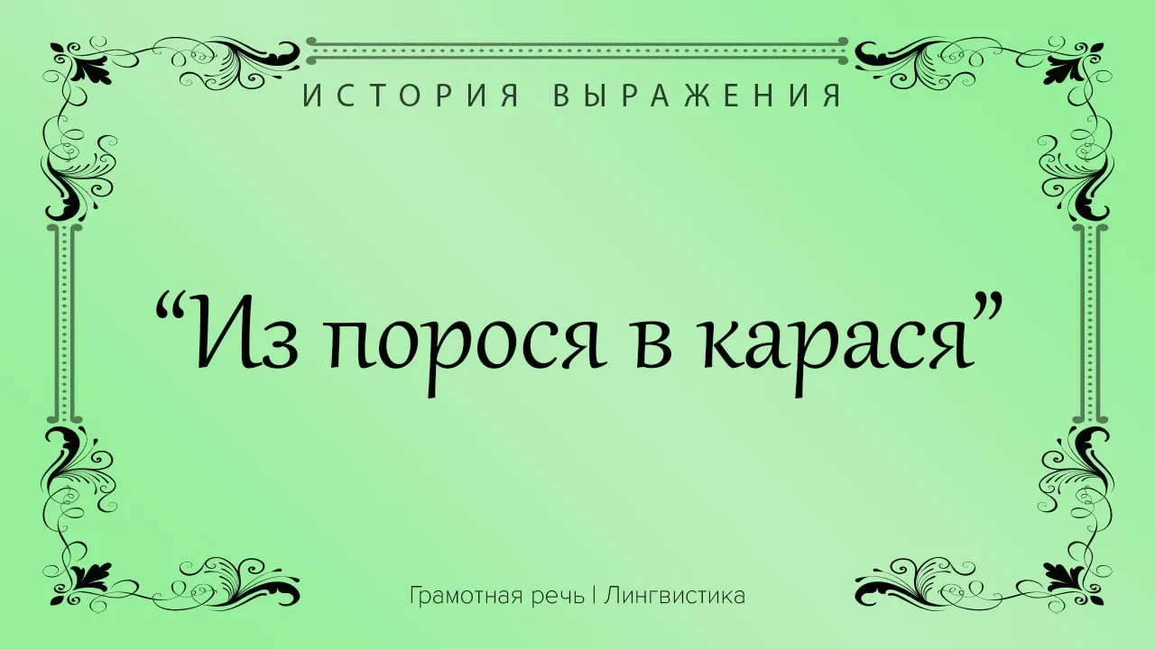 Выдавать желаемое за действительное или когда человек старается казаться лучше, чем он ...