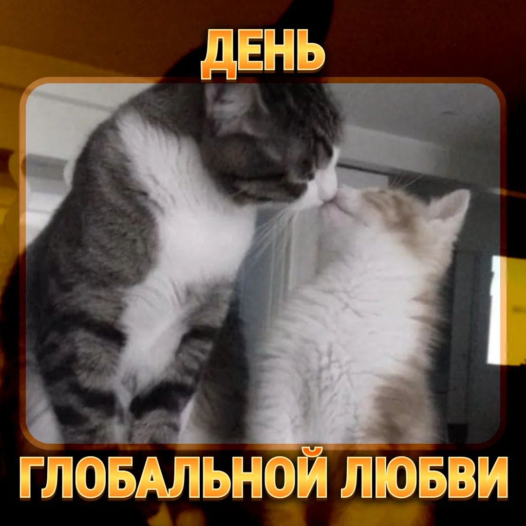❤️Сегодня — День глобальной любви!   День, когда любовь не знает границ, а сердце стучит в унисон с 