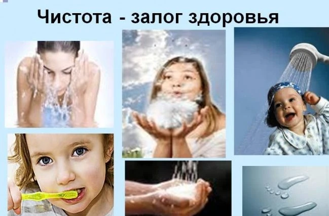 Роспотребнадзор рекомендует: соблюдение чистоты пространства и личной гигиены является важным фактор