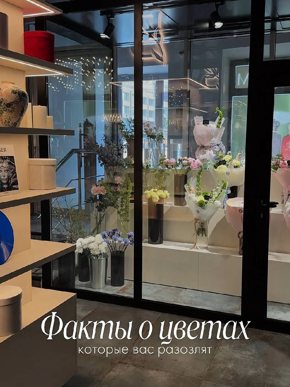 За каждым букетом скрывается больше, чем кажется на первый взгляд. Делимся фактами о цветах, которые