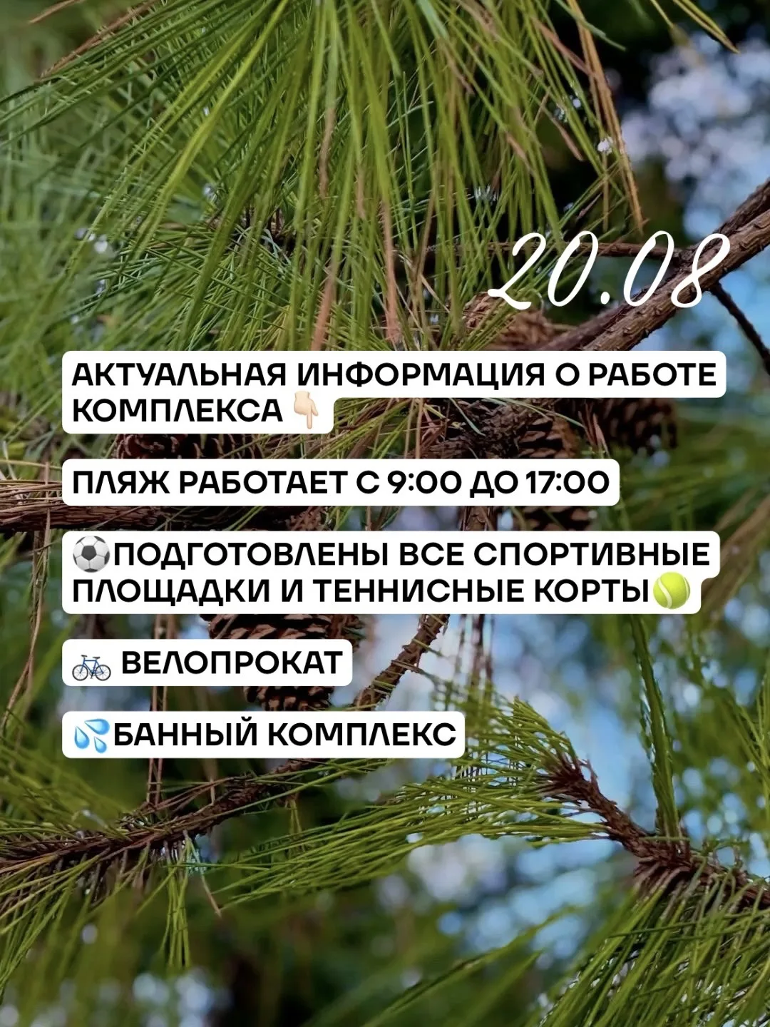 🌿 +22 °C — отличный день, чтобы выбраться в Чекерил!