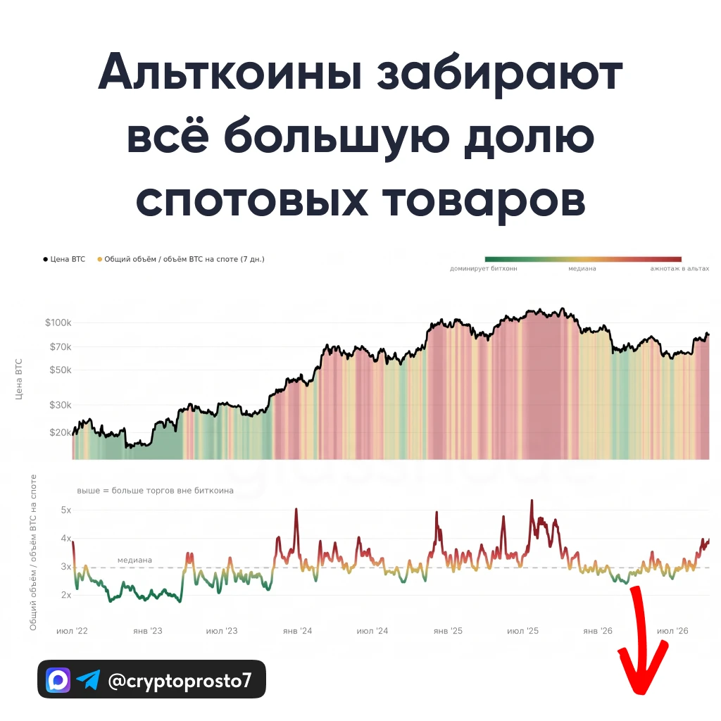 🤔 Альтсезон: вы заходите или вас заводят?