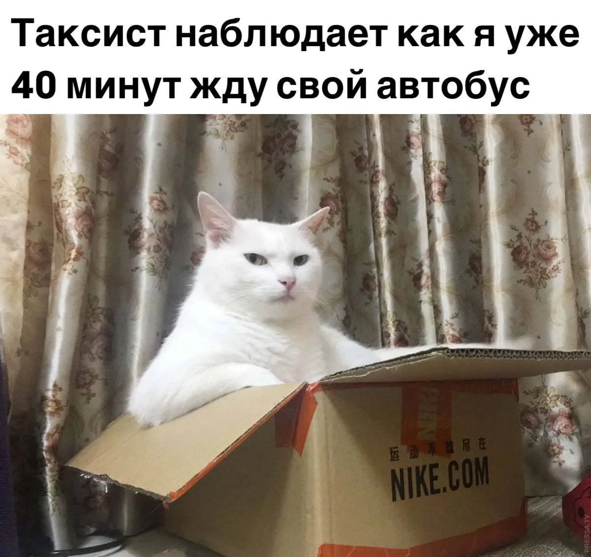 Подпишись на юмор 😂