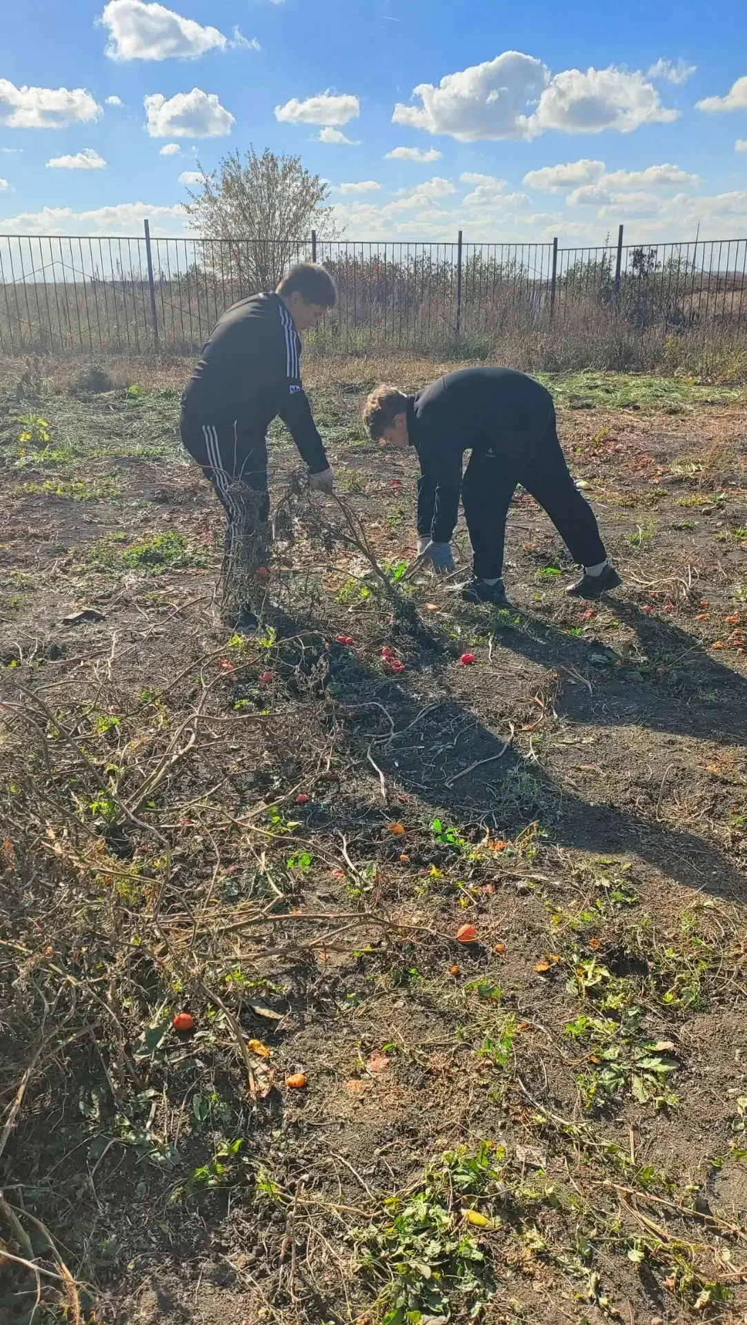 Трудовое воспитание в деле 💪🌱
