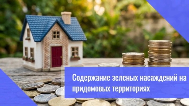🌳 Обязанности управляющих организаций по уходу за зелёными насаждениями