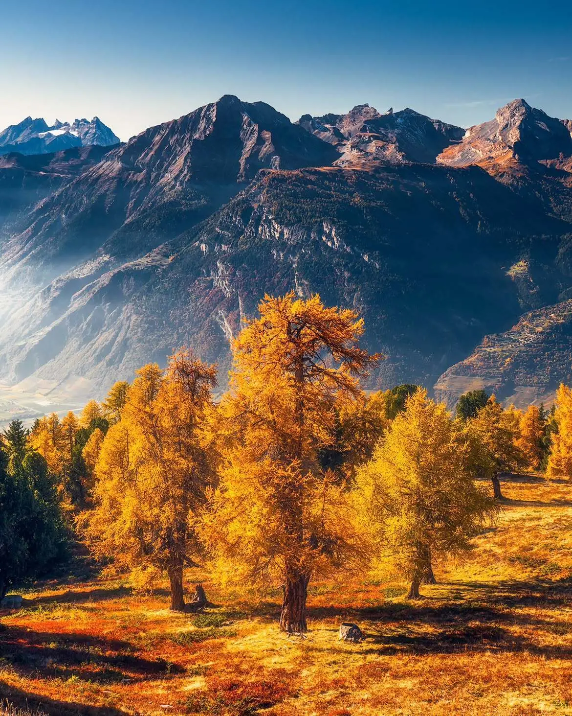 🍂 Осень в Швейцарии.