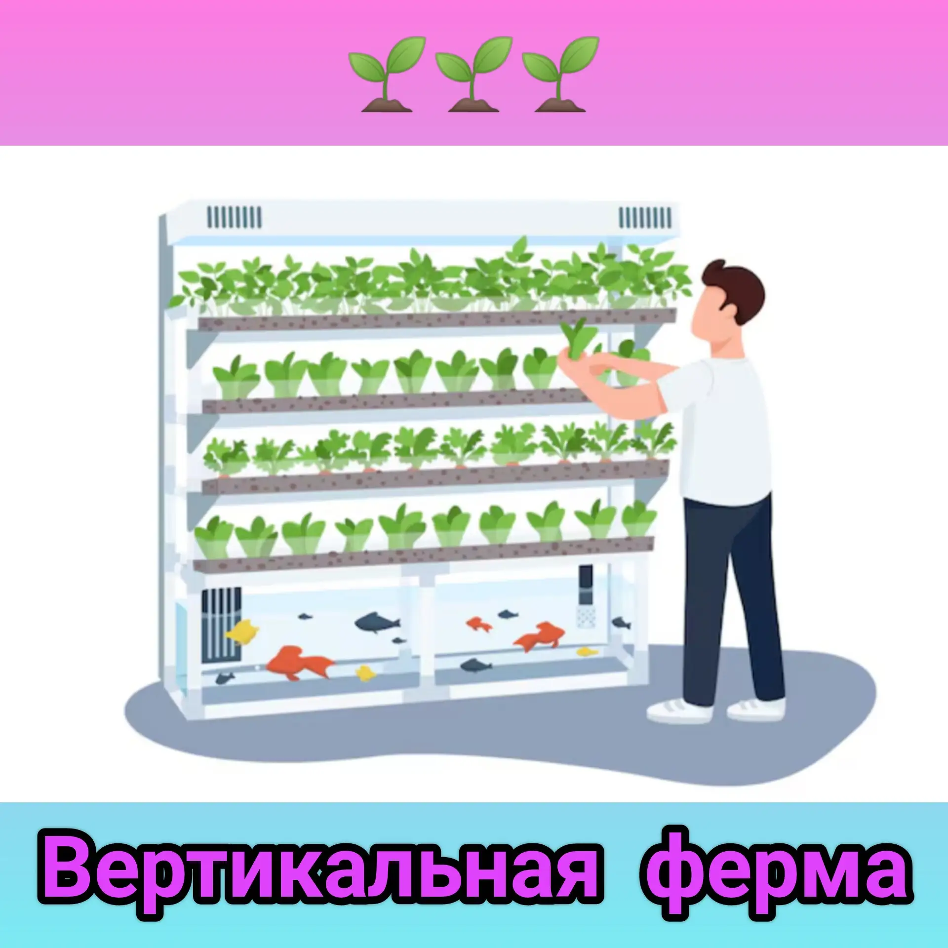 🌼🔬 От семечка до цветущего чуда: вертикальная ферма в действии! 🔬🌼