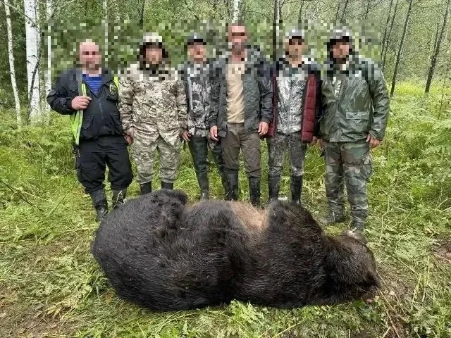 На Алтае истребили медведя, который мог растерзать туристку