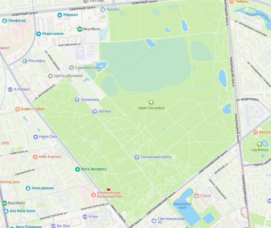 чат, завтра встреча в спб в парке сосновка в 12:00