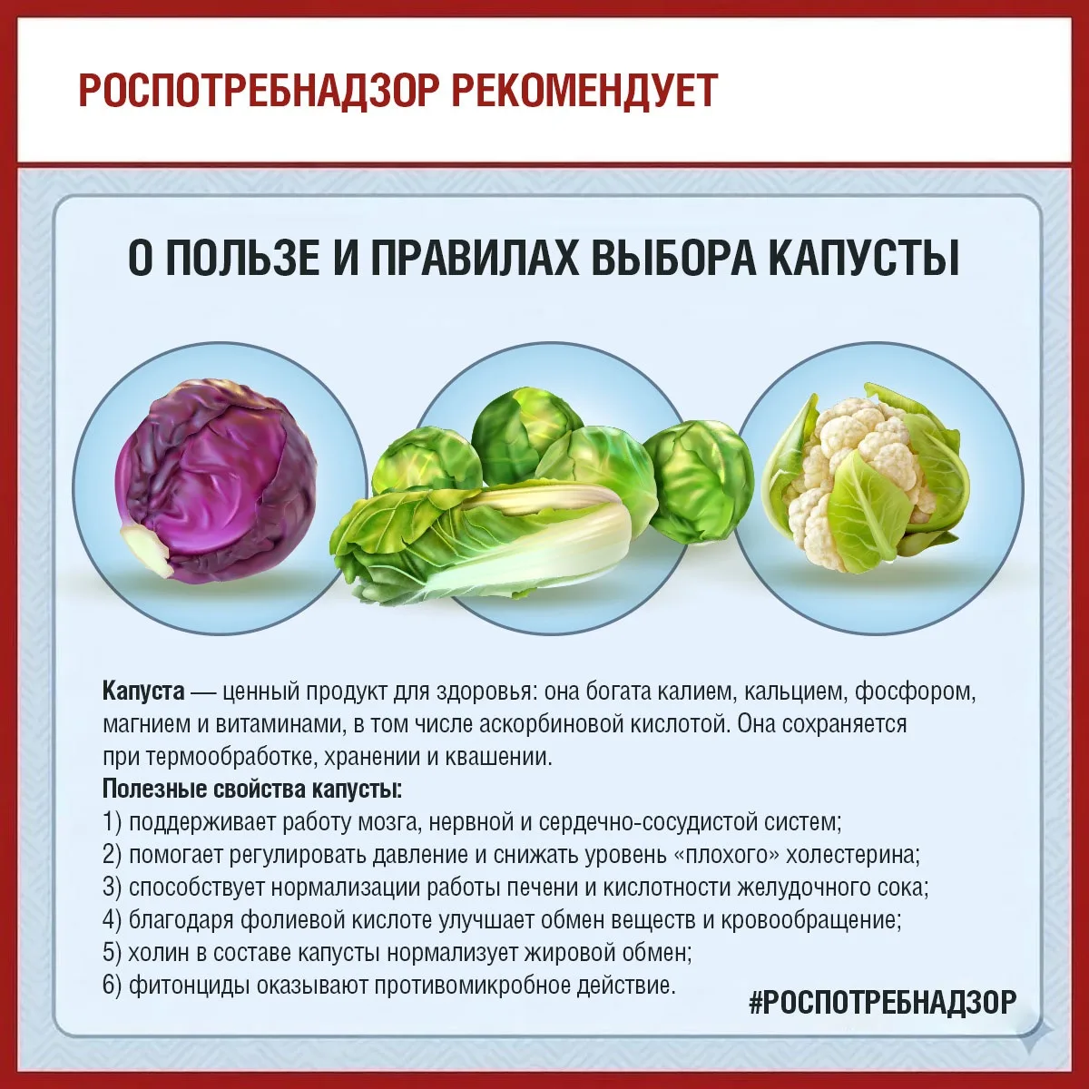 🥬Роспотребнадзор информирует о пользе и правилах выбора капусты