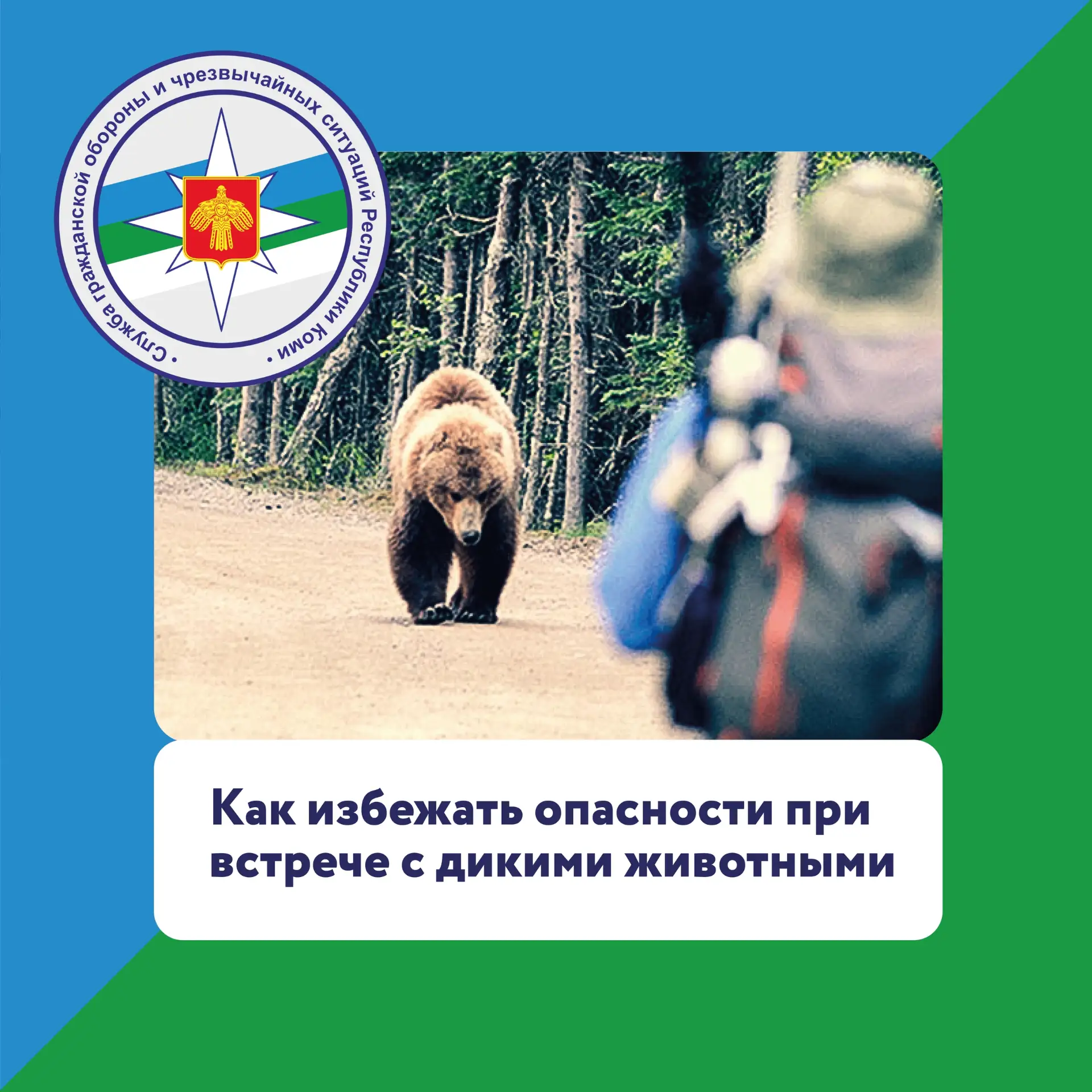 Как избежать опасности при встрече с дикими животными 🦌