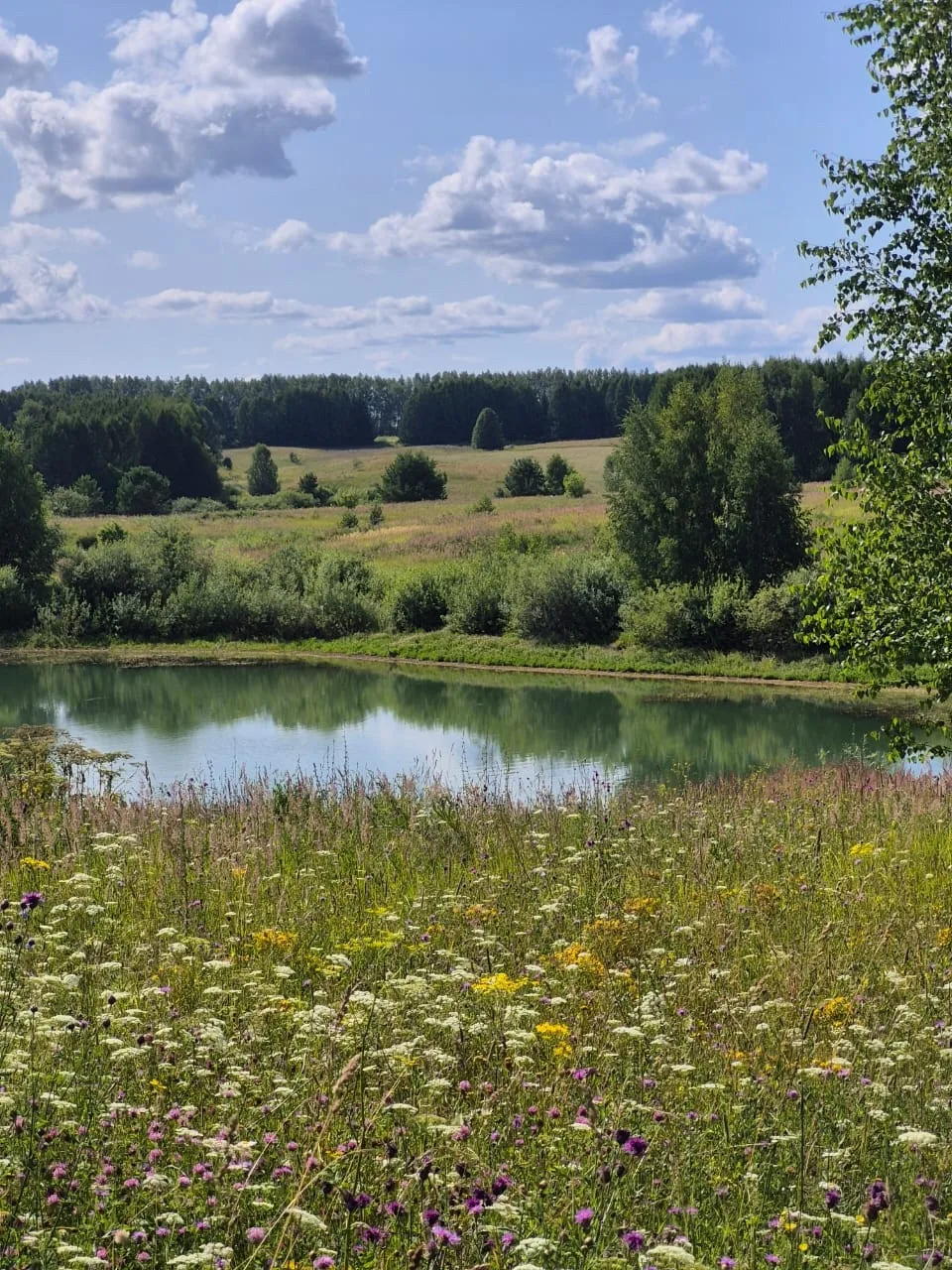 🫶🏻🌳 В Высокогорском районе учат любить природу по-новому

Интерес к природе Татарстана вырос. За 