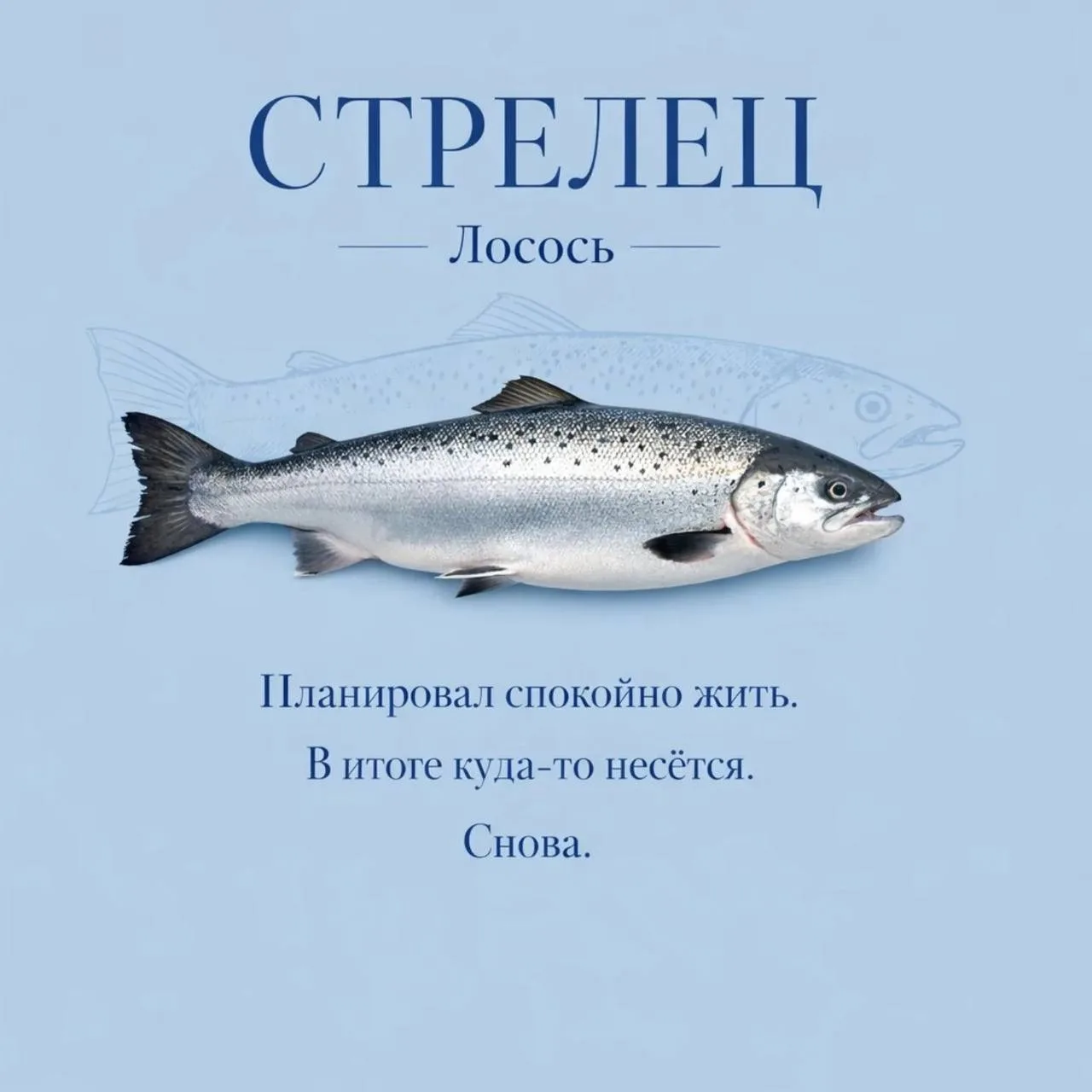 Знаки зодиака как рыбки, часть 2  Если согласны с постом, оставляйте реакцию ❤️  Астрология | Подпиш