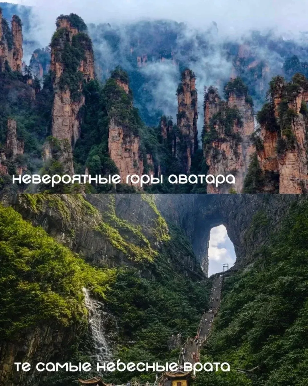 Дорогие туристы , срочно ищем пару женщине на горы Аватара ❗️