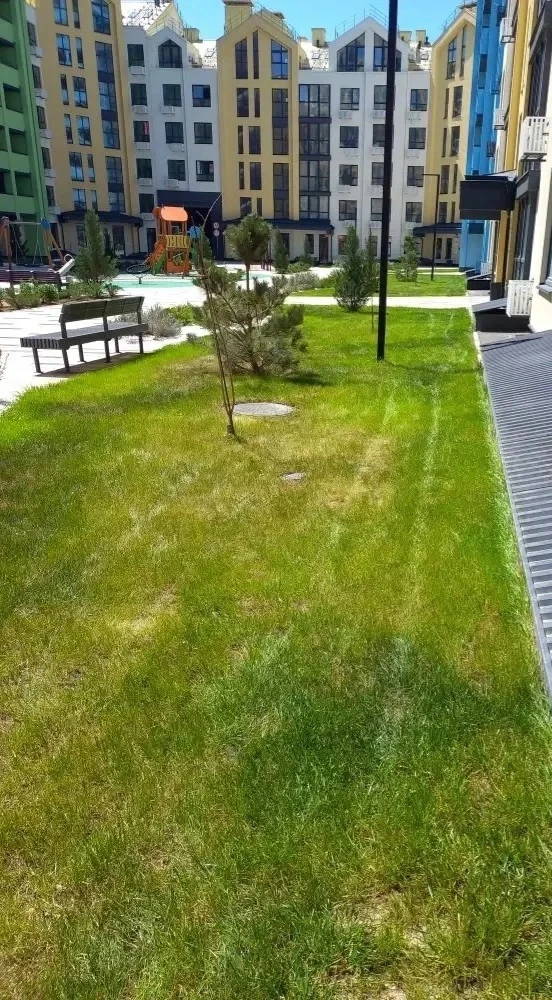 🌿 КАК ПРИЯТНО ПАХНЕТ СВЕЖЕСТЬЮ!