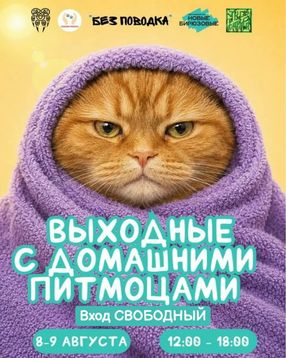 8 и 9 августа