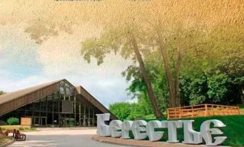 🏺 40 тысяч находок из прошлого: в «Танаисе» открыли выставку о Берестье